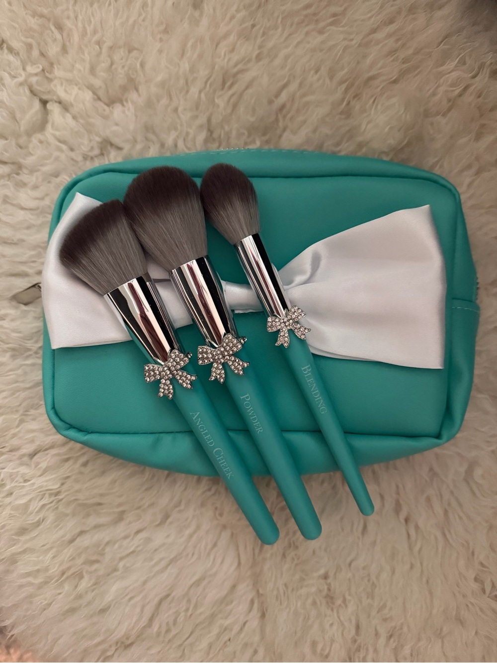 Turquoise Makeup Brush Set with Bow Accent